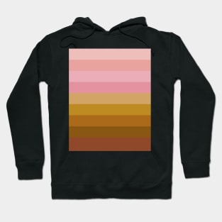 Ombre Stripes in Pink and Brown Hoodie